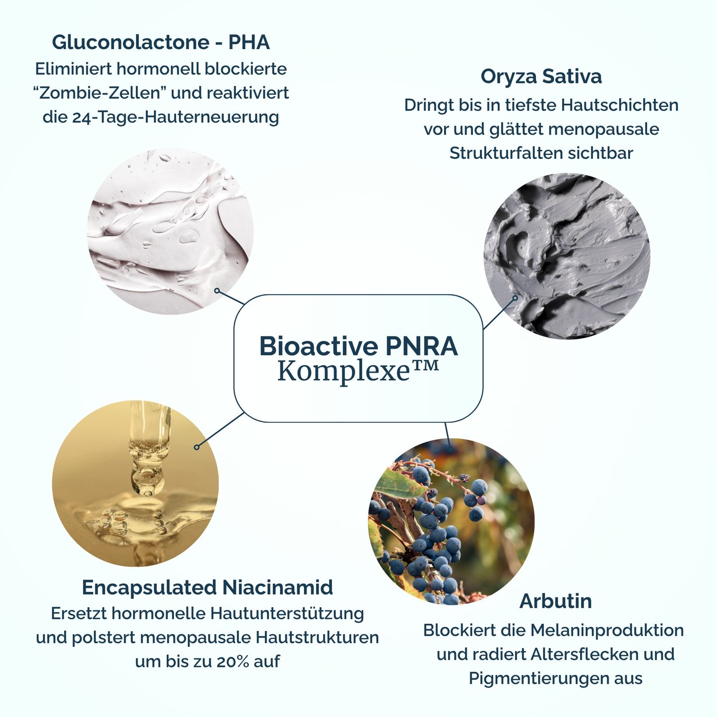 Renewal & Plumping Konzentrat